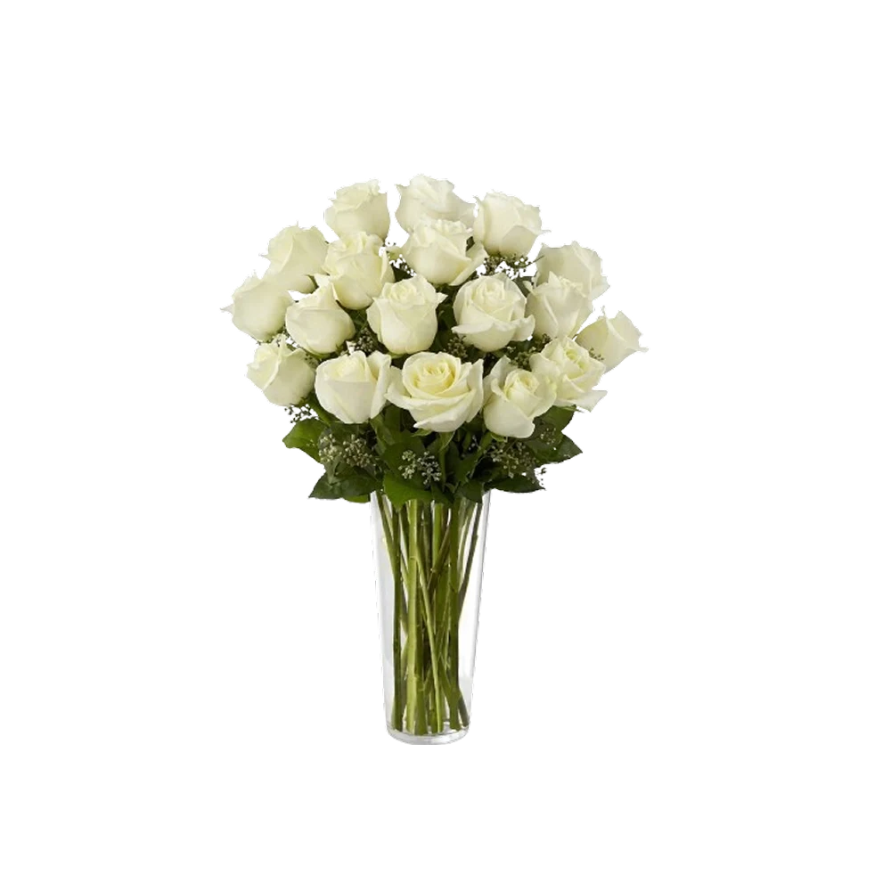 Pure Grace Dozen — product photo